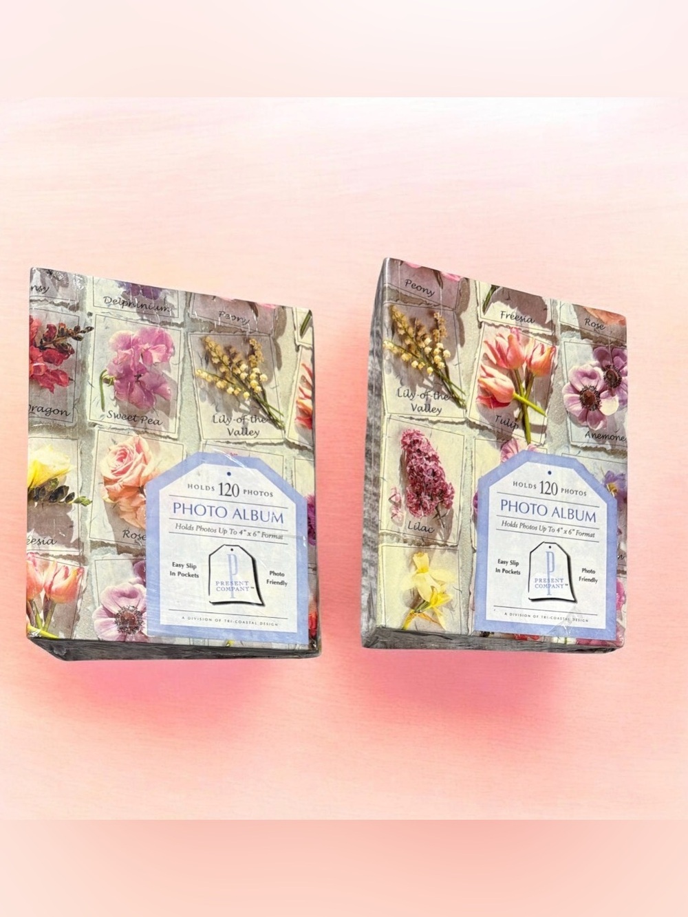 Present Company Botanical Floral Pocket Photo Album Lot 2 Pack 4x6 NEW
